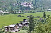 scorcio del bhutan