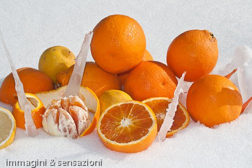 arance sulla neve
